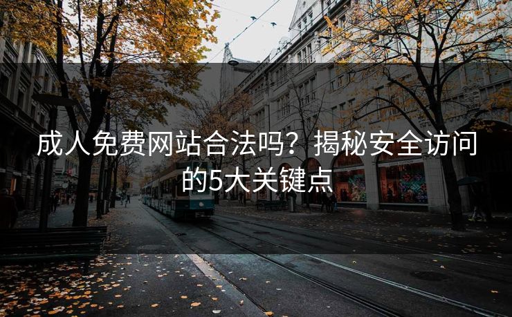 成人免费网站合法吗?揭秘安全访问的5大关键点